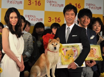 堺雅人が宮崎弁を方言指導！？ 映画『ひまわりと子犬の７日間